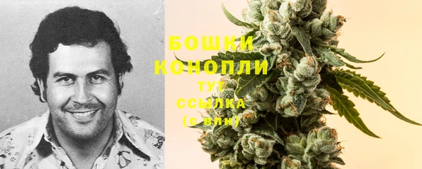 шишки Алексеевка