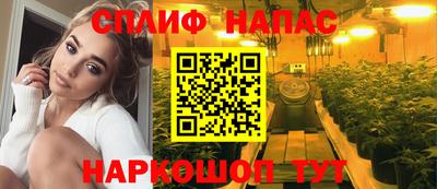 стаф Камышлов