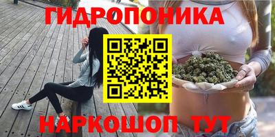 стаф Канаш