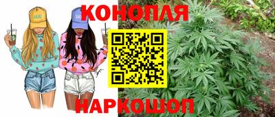 стаф Камышлов