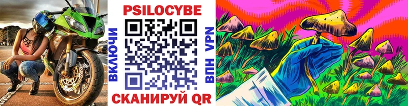 Псилоцибиновые грибы Cubensis  где продают   Троицк 