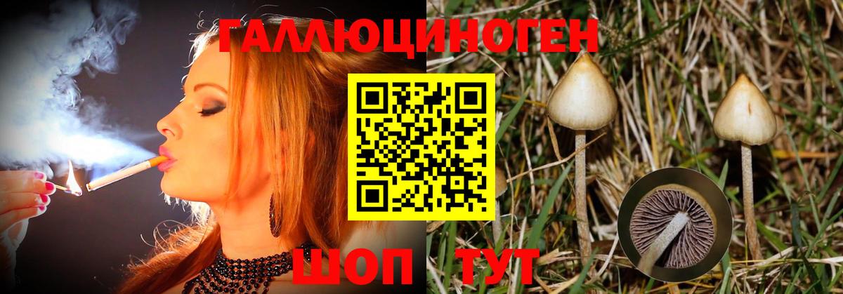 Псилоцибиновые грибы прущие грибы  Вход с VPN  даркнет сайт  Троицк 